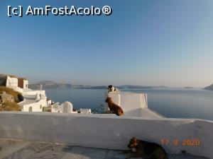 [P82] Câini veseli pe acoperişurile clădirilor din Oia » foto by irinad
 - 
<span class="allrVoted glyphicon glyphicon-heart hidden" id="av1211457"></span>
<a class="m-l-10 hidden" id="sv1211457" onclick="voting_Foto_DelVot(,1211457,26698)" role="button">șterge vot <span class="glyphicon glyphicon-remove"></span></a>
<a id="v91211457" class=" c-red"  onclick="voting_Foto_SetVot(1211457)" role="button"><span class="glyphicon glyphicon-heart-empty"></span> <b>LIKE</b> = Votează poza</a> <img class="hidden"  id="f1211457W9" src="/imagini/loader.gif" border="0" /><span class="AjErrMes hidden" id="e1211457ErM"></span>