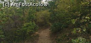 [P12] Poteca prin pădure. » foto by Aurici
 - 
<span class="allrVoted glyphicon glyphicon-heart hidden" id="av1213078"></span>
<a class="m-l-10 hidden" id="sv1213078" onclick="voting_Foto_DelVot(,1213078,26710)" role="button">șterge vot <span class="glyphicon glyphicon-remove"></span></a>
<a id="v91213078" class=" c-red"  onclick="voting_Foto_SetVot(1213078)" role="button"><span class="glyphicon glyphicon-heart-empty"></span> <b>LIKE</b> = Votează poza</a> <img class="hidden"  id="f1213078W9" src="/imagini/loader.gif" border="0" /><span class="AjErrMes hidden" id="e1213078ErM"></span>