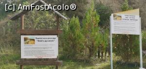 [P04] La intrare, primele panouri informative despre piramidele de pământ. » foto by Aurici
 - 
<span class="allrVoted glyphicon glyphicon-heart hidden" id="av1213070"></span>
<a class="m-l-10 hidden" id="sv1213070" onclick="voting_Foto_DelVot(,1213070,26710)" role="button">șterge vot <span class="glyphicon glyphicon-remove"></span></a>
<a id="v91213070" class=" c-red"  onclick="voting_Foto_SetVot(1213070)" role="button"><span class="glyphicon glyphicon-heart-empty"></span> <b>LIKE</b> = Votează poza</a> <img class="hidden"  id="f1213070W9" src="/imagini/loader.gif" border="0" /><span class="AjErrMes hidden" id="e1213070ErM"></span>