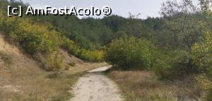 [P06] La intrarea pe potecă, imediat după bariera de lemn. » foto by Aurici
 - 
<span class="allrVoted glyphicon glyphicon-heart hidden" id="av1213072"></span>
<a class="m-l-10 hidden" id="sv1213072" onclick="voting_Foto_DelVot(,1213072,26710)" role="button">șterge vot <span class="glyphicon glyphicon-remove"></span></a>
<a id="v91213072" class=" c-red"  onclick="voting_Foto_SetVot(1213072)" role="button"><span class="glyphicon glyphicon-heart-empty"></span> <b>LIKE</b> = Votează poza</a> <img class="hidden"  id="f1213072W9" src="/imagini/loader.gif" border="0" /><span class="AjErrMes hidden" id="e1213072ErM"></span>