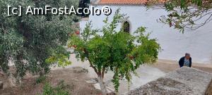 [P31] Mănăstirea Georgiou Gorgolaini » foto by Carmen Ion
 - 
<span class="allrVoted glyphicon glyphicon-heart hidden" id="av1357768"></span>
<a class="m-l-10 hidden" id="sv1357768" onclick="voting_Foto_DelVot(,1357768,26715)" role="button">șterge vot <span class="glyphicon glyphicon-remove"></span></a>
<a id="v91357768" class=" c-red"  onclick="voting_Foto_SetVot(1357768)" role="button"><span class="glyphicon glyphicon-heart-empty"></span> <b>LIKE</b> = Votează poza</a> <img class="hidden"  id="f1357768W9" src="/imagini/loader.gif" border="0" /><span class="AjErrMes hidden" id="e1357768ErM"></span>