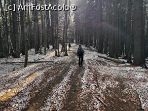 [P08] Spre Clăbucetul Azugii » foto by Mika
 - 
<span class="allrVoted glyphicon glyphicon-heart hidden" id="av1399072"></span>
<a class="m-l-10 hidden" id="sv1399072" onclick="voting_Foto_DelVot(,1399072,26716)" role="button">șterge vot <span class="glyphicon glyphicon-remove"></span></a>
<a id="v91399072" class=" c-red"  onclick="voting_Foto_SetVot(1399072)" role="button"><span class="glyphicon glyphicon-heart-empty"></span> <b>LIKE</b> = Votează poza</a> <img class="hidden"  id="f1399072W9" src="/imagini/loader.gif" border="0" /><span class="AjErrMes hidden" id="e1399072ErM"></span>