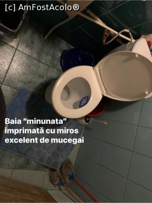[P10] Aspectul Mopului cu care se presupune ca ar fi trebuit sa ștergem apa de pe jos din baie. » foto by Crisan_diana
 - 
<span class="allrVoted glyphicon glyphicon-heart hidden" id="av1216424"></span>
<a class="m-l-10 hidden" id="sv1216424" onclick="voting_Foto_DelVot(,1216424,26735)" role="button">șterge vot <span class="glyphicon glyphicon-remove"></span></a>
<a id="v91216424" class=" c-red"  onclick="voting_Foto_SetVot(1216424)" role="button"><span class="glyphicon glyphicon-heart-empty"></span> <b>LIKE</b> = Votează poza</a> <img class="hidden"  id="f1216424W9" src="/imagini/loader.gif" border="0" /><span class="AjErrMes hidden" id="e1216424ErM"></span>