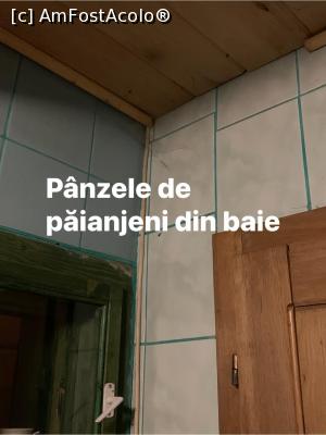 [P12] Paianjenii din colțurile baii » foto by Crisan_diana
 - 
<span class="allrVoted glyphicon glyphicon-heart hidden" id="av1216426"></span>
<a class="m-l-10 hidden" id="sv1216426" onclick="voting_Foto_DelVot(,1216426,26735)" role="button">șterge vot <span class="glyphicon glyphicon-remove"></span></a>
<a id="v91216426" class=" c-red"  onclick="voting_Foto_SetVot(1216426)" role="button"><span class="glyphicon glyphicon-heart-empty"></span> <b>LIKE</b> = Votează poza</a> <img class="hidden"  id="f1216426W9" src="/imagini/loader.gif" border="0" /><span class="AjErrMes hidden" id="e1216426ErM"></span>