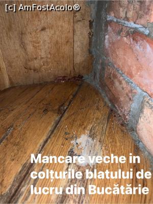 [P16] Salam uscat in colțurile blatului de bucatarie » foto by Crisan_diana
 - 
<span class="allrVoted glyphicon glyphicon-heart hidden" id="av1216430"></span>
<a class="m-l-10 hidden" id="sv1216430" onclick="voting_Foto_DelVot(,1216430,26735)" role="button">șterge vot <span class="glyphicon glyphicon-remove"></span></a>
<a id="v91216430" class=" c-red"  onclick="voting_Foto_SetVot(1216430)" role="button"><span class="glyphicon glyphicon-heart-empty"></span> <b>LIKE</b> = Votează poza</a> <img class="hidden"  id="f1216430W9" src="/imagini/loader.gif" border="0" /><span class="AjErrMes hidden" id="e1216430ErM"></span>