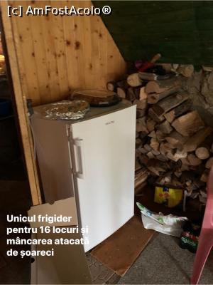 [P08] Soprul cu lemnele de foc netaiate- a trebuit sa le tăiem noi- » foto by Crisan_diana
 - 
<span class="allrVoted glyphicon glyphicon-heart hidden" id="av1216422"></span>
<a class="m-l-10 hidden" id="sv1216422" onclick="voting_Foto_DelVot(,1216422,26735)" role="button">șterge vot <span class="glyphicon glyphicon-remove"></span></a>
<a id="v91216422" class=" c-red"  onclick="voting_Foto_SetVot(1216422)" role="button"><span class="glyphicon glyphicon-heart-empty"></span> <b>LIKE</b> = Votează poza</a> <img class="hidden"  id="f1216422W9" src="/imagini/loader.gif" border="0" /><span class="AjErrMes hidden" id="e1216422ErM"></span>