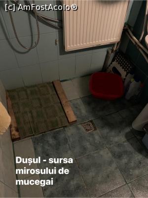 [P09] Dușul încă neutilizat de noi. Așa arată când am ajuns » foto by Crisan_diana
 - 
<span class="allrVoted glyphicon glyphicon-heart hidden" id="av1216423"></span>
<a class="m-l-10 hidden" id="sv1216423" onclick="voting_Foto_DelVot(,1216423,26735)" role="button">șterge vot <span class="glyphicon glyphicon-remove"></span></a>
<a id="v91216423" class=" c-red"  onclick="voting_Foto_SetVot(1216423)" role="button"><span class="glyphicon glyphicon-heart-empty"></span> <b>LIKE</b> = Votează poza</a> <img class="hidden"  id="f1216423W9" src="/imagini/loader.gif" border="0" /><span class="AjErrMes hidden" id="e1216423ErM"></span>