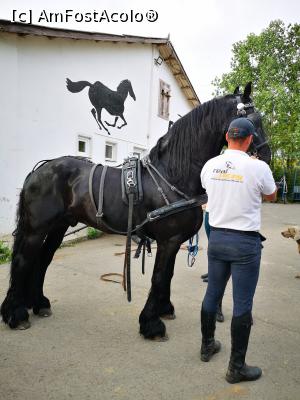 [P27] Clubul de echitație Real Racing » foto by crismis
 - 
<span class="allrVoted glyphicon glyphicon-heart hidden" id="av1233973"></span>
<a class="m-l-10 hidden" id="sv1233973" onclick="voting_Foto_DelVot(,1233973,26760)" role="button">șterge vot <span class="glyphicon glyphicon-remove"></span></a>
<a id="v91233973" class=" c-red"  onclick="voting_Foto_SetVot(1233973)" role="button"><span class="glyphicon glyphicon-heart-empty"></span> <b>LIKE</b> = Votează poza</a> <img class="hidden"  id="f1233973W9" src="/imagini/loader.gif" border="0" /><span class="AjErrMes hidden" id="e1233973ErM"></span>