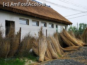 [P66] În Sfântu încă se mai construiește tradițional, cu stuf » foto by crismis
 - 
<span class="allrVoted glyphicon glyphicon-heart hidden" id="av1234012"></span>
<a class="m-l-10 hidden" id="sv1234012" onclick="voting_Foto_DelVot(,1234012,26760)" role="button">șterge vot <span class="glyphicon glyphicon-remove"></span></a>
<a id="v91234012" class=" c-red"  onclick="voting_Foto_SetVot(1234012)" role="button"><span class="glyphicon glyphicon-heart-empty"></span> <b>LIKE</b> = Votează poza</a> <img class="hidden"  id="f1234012W9" src="/imagini/loader.gif" border="0" /><span class="AjErrMes hidden" id="e1234012ErM"></span>