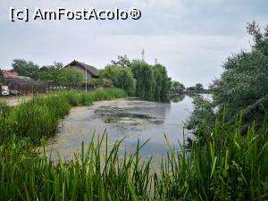 [P87] Ne întoarcem de la plajă pe dig, spre port » foto by crismis
 - 
<span class="allrVoted glyphicon glyphicon-heart hidden" id="av1234033"></span>
<a class="m-l-10 hidden" id="sv1234033" onclick="voting_Foto_DelVot(,1234033,26760)" role="button">șterge vot <span class="glyphicon glyphicon-remove"></span></a>
<a id="v91234033" class=" c-red"  onclick="voting_Foto_SetVot(1234033)" role="button"><span class="glyphicon glyphicon-heart-empty"></span> <b>LIKE</b> = Votează poza</a> <img class="hidden"  id="f1234033W9" src="/imagini/loader.gif" border="0" /><span class="AjErrMes hidden" id="e1234033ErM"></span>
