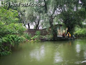 [P95] Plutind din nou pe canalele Deltei... » foto by crismis
 - 
<span class="allrVoted glyphicon glyphicon-heart hidden" id="av1234041"></span>
<a class="m-l-10 hidden" id="sv1234041" onclick="voting_Foto_DelVot(,1234041,26760)" role="button">șterge vot <span class="glyphicon glyphicon-remove"></span></a>
<a id="v91234041" class=" c-red"  onclick="voting_Foto_SetVot(1234041)" role="button"><span class="glyphicon glyphicon-heart-empty"></span> <b>LIKE</b> = Votează poza</a> <img class="hidden"  id="f1234041W9" src="/imagini/loader.gif" border="0" /><span class="AjErrMes hidden" id="e1234041ErM"></span>
