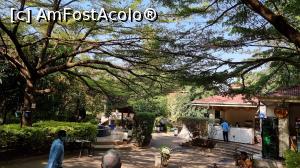 [P02] grădina restaurantului » foto by robert
 - 
<span class="allrVoted glyphicon glyphicon-heart hidden" id="av1221871"></span>
<a class="m-l-10 hidden" id="sv1221871" onclick="voting_Foto_DelVot(,1221871,26785)" role="button">șterge vot <span class="glyphicon glyphicon-remove"></span></a>
<a id="v91221871" class=" c-red"  onclick="voting_Foto_SetVot(1221871)" role="button"><span class="glyphicon glyphicon-heart-empty"></span> <b>LIKE</b> = Votează poza</a> <img class="hidden"  id="f1221871W9" src="/imagini/loader.gif" border="0" /><span class="AjErrMes hidden" id="e1221871ErM"></span>