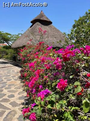 [P01] Kanta Lodge Konso » foto by robert
 - 
<span class="allrVoted glyphicon glyphicon-heart hidden" id="av1222513"></span>
<a class="m-l-10 hidden" id="sv1222513" onclick="voting_Foto_DelVot(,1222513,26785)" role="button">șterge vot <span class="glyphicon glyphicon-remove"></span></a>
<a id="v91222513" class=" c-red"  onclick="voting_Foto_SetVot(1222513)" role="button"><span class="glyphicon glyphicon-heart-empty"></span> <b>LIKE</b> = Votează poza</a> <img class="hidden"  id="f1222513W9" src="/imagini/loader.gif" border="0" /><span class="AjErrMes hidden" id="e1222513ErM"></span>