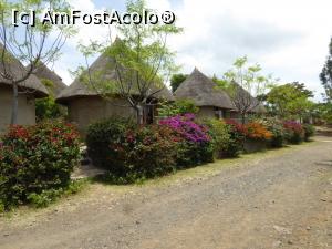 [P10] Kanta Lodge Konso » foto by robert
 - 
<span class="allrVoted glyphicon glyphicon-heart hidden" id="av1222522"></span>
<a class="m-l-10 hidden" id="sv1222522" onclick="voting_Foto_DelVot(,1222522,26785)" role="button">șterge vot <span class="glyphicon glyphicon-remove"></span></a>
<a id="v91222522" class=" c-red"  onclick="voting_Foto_SetVot(1222522)" role="button"><span class="glyphicon glyphicon-heart-empty"></span> <b>LIKE</b> = Votează poza</a> <img class="hidden"  id="f1222522W9" src="/imagini/loader.gif" border="0" /><span class="AjErrMes hidden" id="e1222522ErM"></span>