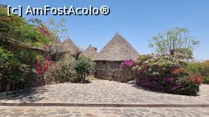 [P14] Kanta Lodge Konso » foto by robert
 - 
<span class="allrVoted glyphicon glyphicon-heart hidden" id="av1222526"></span>
<a class="m-l-10 hidden" id="sv1222526" onclick="voting_Foto_DelVot(,1222526,26785)" role="button">șterge vot <span class="glyphicon glyphicon-remove"></span></a>
<a id="v91222526" class=" c-red"  onclick="voting_Foto_SetVot(1222526)" role="button"><span class="glyphicon glyphicon-heart-empty"></span> <b>LIKE</b> = Votează poza</a> <img class="hidden"  id="f1222526W9" src="/imagini/loader.gif" border="0" /><span class="AjErrMes hidden" id="e1222526ErM"></span>