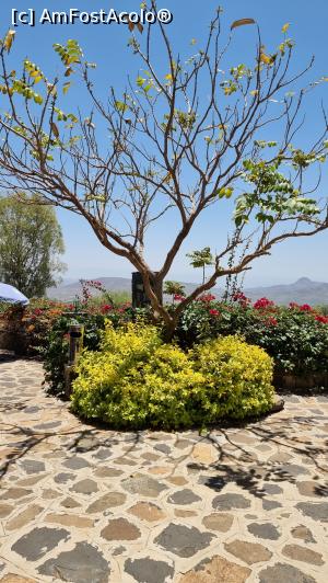 [P20] grădina paradisiacă » foto by robert
 - 
<span class="allrVoted glyphicon glyphicon-heart hidden" id="av1222532"></span>
<a class="m-l-10 hidden" id="sv1222532" onclick="voting_Foto_DelVot(,1222532,26785)" role="button">șterge vot <span class="glyphicon glyphicon-remove"></span></a>
<a id="v91222532" class=" c-red"  onclick="voting_Foto_SetVot(1222532)" role="button"><span class="glyphicon glyphicon-heart-empty"></span> <b>LIKE</b> = Votează poza</a> <img class="hidden"  id="f1222532W9" src="/imagini/loader.gif" border="0" /><span class="AjErrMes hidden" id="e1222532ErM"></span>