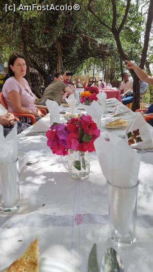 [P01] masa noastră c&acirc;mpenească » foto by robert
 - 
<span class="allrVoted glyphicon glyphicon-heart hidden" id="av1225882"></span>
<a class="m-l-10 hidden" id="sv1225882" onclick="voting_Foto_DelVot(,1225882,26785)" role="button">șterge vot <span class="glyphicon glyphicon-remove"></span></a>
<a id="v91225882" class=" c-red"  onclick="voting_Foto_SetVot(1225882)" role="button"><span class="glyphicon glyphicon-heart-empty"></span> <b>LIKE</b> = Votează poza</a> <img class="hidden"  id="f1225882W9" src="/imagini/loader.gif" border="0" /><span class="AjErrMes hidden" id="e1225882ErM"></span>