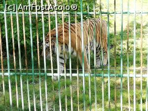 [P25] Zoo Calarasi » foto by ⭐ValentinB_88⭐
 - 
<span class="allrVoted glyphicon glyphicon-heart hidden" id="av1224623"></span>
<a class="m-l-10 hidden" id="sv1224623" onclick="voting_Foto_DelVot(,1224623,26802)" role="button">șterge vot <span class="glyphicon glyphicon-remove"></span></a>
<a id="v91224623" class=" c-red"  onclick="voting_Foto_SetVot(1224623)" role="button"><span class="glyphicon glyphicon-heart-empty"></span> <b>LIKE</b> = Votează poza</a> <img class="hidden"  id="f1224623W9" src="/imagini/loader.gif" border="0" /><span class="AjErrMes hidden" id="e1224623ErM"></span>