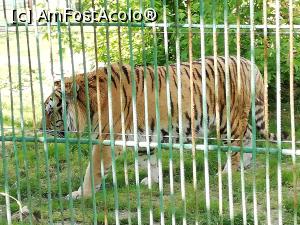 [P26] Zoo Calarasi » foto by ⭐ValentinB_88⭐
 - 
<span class="allrVoted glyphicon glyphicon-heart hidden" id="av1224624"></span>
<a class="m-l-10 hidden" id="sv1224624" onclick="voting_Foto_DelVot(,1224624,26802)" role="button">șterge vot <span class="glyphicon glyphicon-remove"></span></a>
<a id="v91224624" class=" c-red"  onclick="voting_Foto_SetVot(1224624)" role="button"><span class="glyphicon glyphicon-heart-empty"></span> <b>LIKE</b> = Votează poza</a> <img class="hidden"  id="f1224624W9" src="/imagini/loader.gif" border="0" /><span class="AjErrMes hidden" id="e1224624ErM"></span>