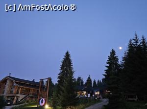 [P31] A răsărit luna » foto by DOINITA
 - 
<span class="allrVoted glyphicon glyphicon-heart hidden" id="av1491938"></span>
<a class="m-l-10 hidden" id="sv1491938" onclick="voting_Foto_DelVot(,1491938,26805)" role="button">șterge vot <span class="glyphicon glyphicon-remove"></span></a>
<a id="v91491938" class=" c-red"  onclick="voting_Foto_SetVot(1491938)" role="button"><span class="glyphicon glyphicon-heart-empty"></span> <b>LIKE</b> = Votează poza</a> <img class="hidden"  id="f1491938W9" src="/imagini/loader.gif" border="0" /><span class="AjErrMes hidden" id="e1491938ErM"></span>