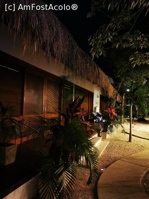 [P03] Seara la Mimosa » foto by cata2106
 - 
<span class="allrVoted glyphicon glyphicon-heart hidden" id="av1225397"></span>
<a class="m-l-10 hidden" id="sv1225397" onclick="voting_Foto_DelVot(,1225397,26809)" role="button">șterge vot <span class="glyphicon glyphicon-remove"></span></a>
<a id="v91225397" class=" c-red"  onclick="voting_Foto_SetVot(1225397)" role="button"><span class="glyphicon glyphicon-heart-empty"></span> <b>LIKE</b> = Votează poza</a> <img class="hidden"  id="f1225397W9" src="/imagini/loader.gif" border="0" /><span class="AjErrMes hidden" id="e1225397ErM"></span>