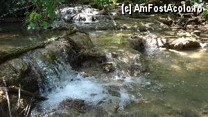 [P27] Cascada Hotnitsa - Kaya Bunar / Loc de popas unde poți sta pe-o piatră ascultând susurul apei...  » foto by bog68
 - 
<span class="allrVoted glyphicon glyphicon-heart hidden" id="av366354"></span>
<a class="m-l-10 hidden" id="sv366354" onclick="voting_Foto_DelVot(,366354,26861)" role="button">șterge vot <span class="glyphicon glyphicon-remove"></span></a>
<a id="v9366354" class=" c-red"  onclick="voting_Foto_SetVot(366354)" role="button"><span class="glyphicon glyphicon-heart-empty"></span> <b>LIKE</b> = Votează poza</a> <img class="hidden"  id="f366354W9" src="/imagini/loader.gif" border="0" /><span class="AjErrMes hidden" id="e366354ErM"></span>