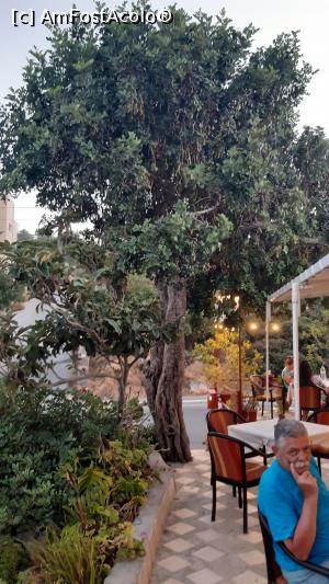 [P48] Taverna Stavros » foto by Carmen Ion
 - 
<span class="allrVoted glyphicon glyphicon-heart hidden" id="av1236935"></span>
<a class="m-l-10 hidden" id="sv1236935" onclick="voting_Foto_DelVot(,1236935,26916)" role="button">șterge vot <span class="glyphicon glyphicon-remove"></span></a>
<a id="v91236935" class=" c-red"  onclick="voting_Foto_SetVot(1236935)" role="button"><span class="glyphicon glyphicon-heart-empty"></span> <b>LIKE</b> = Votează poza</a> <img class="hidden"  id="f1236935W9" src="/imagini/loader.gif" border="0" /><span class="AjErrMes hidden" id="e1236935ErM"></span>