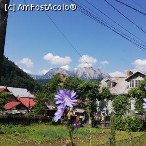 [P08]  -- <small>// FĂRĂ DESCRIERE</small> » foto by vicgiant
 - 
<span class="allrVoted glyphicon glyphicon-heart hidden" id="av1238917"></span>
<a class="m-l-10 hidden" id="sv1238917" onclick="voting_Foto_DelVot(,1238917,26931)" role="button">șterge vot <span class="glyphicon glyphicon-remove"></span></a>
<a id="v91238917" class=" c-red"  onclick="voting_Foto_SetVot(1238917)" role="button"><span class="glyphicon glyphicon-heart-empty"></span> <b>LIKE</b> = Votează poza</a> <img class="hidden"  id="f1238917W9" src="/imagini/loader.gif" border="0" /><span class="AjErrMes hidden" id="e1238917ErM"></span>