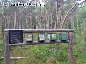 [P41] Tinovul Mare Poiana Stampei » foto by zlatna
 - 
<span class="allrVoted glyphicon glyphicon-heart hidden" id="av1240104"></span>
<a class="m-l-10 hidden" id="sv1240104" onclick="voting_Foto_DelVot(,1240104,26942)" role="button">șterge vot <span class="glyphicon glyphicon-remove"></span></a>
<a id="v91240104" class=" c-red"  onclick="voting_Foto_SetVot(1240104)" role="button"><span class="glyphicon glyphicon-heart-empty"></span> <b>LIKE</b> = Votează poza</a> <img class="hidden"  id="f1240104W9" src="/imagini/loader.gif" border="0" /><span class="AjErrMes hidden" id="e1240104ErM"></span>