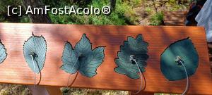 [P15] Un joc interesant. » foto by tata123 🔱
 - 
<span class="allrVoted glyphicon glyphicon-heart hidden" id="av1381796"></span>
<a class="m-l-10 hidden" id="sv1381796" onclick="voting_Foto_DelVot(,1381796,26942)" role="button">șterge vot <span class="glyphicon glyphicon-remove"></span></a>
<a id="v91381796" class=" c-red"  onclick="voting_Foto_SetVot(1381796)" role="button"><span class="glyphicon glyphicon-heart-empty"></span> <b>LIKE</b> = Votează poza</a> <img class="hidden"  id="f1381796W9" src="/imagini/loader.gif" border="0" /><span class="AjErrMes hidden" id="e1381796ErM"></span>