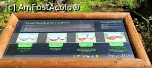 [P06] Informații despre tinoave. » foto by tata123 🔱
 - 
<span class="allrVoted glyphicon glyphicon-heart hidden" id="av1381787"></span>
<a class="m-l-10 hidden" id="sv1381787" onclick="voting_Foto_DelVot(,1381787,26942)" role="button">șterge vot <span class="glyphicon glyphicon-remove"></span></a>
<a id="v91381787" class=" c-red"  onclick="voting_Foto_SetVot(1381787)" role="button"><span class="glyphicon glyphicon-heart-empty"></span> <b>LIKE</b> = Votează poza</a> <img class="hidden"  id="f1381787W9" src="/imagini/loader.gif" border="0" /><span class="AjErrMes hidden" id="e1381787ErM"></span>