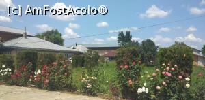 [P30] Mănăstirea Balaciu, Ialomița » foto by Mioritik
 - 
<span class="allrVoted glyphicon glyphicon-heart hidden" id="av1242433"></span>
<a class="m-l-10 hidden" id="sv1242433" onclick="voting_Foto_DelVot(,1242433,26966)" role="button">șterge vot <span class="glyphicon glyphicon-remove"></span></a>
<a id="v91242433" class=" c-red"  onclick="voting_Foto_SetVot(1242433)" role="button"><span class="glyphicon glyphicon-heart-empty"></span> <b>LIKE</b> = Votează poza</a> <img class="hidden"  id="f1242433W9" src="/imagini/loader.gif" border="0" /><span class="AjErrMes hidden" id="e1242433ErM"></span>