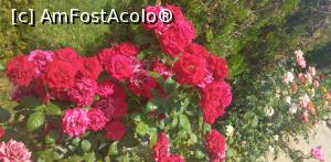 [P39] Mănăstirea Balaciu, Ialomița » foto by Mioritik
 - 
<span class="allrVoted glyphicon glyphicon-heart hidden" id="av1242442"></span>
<a class="m-l-10 hidden" id="sv1242442" onclick="voting_Foto_DelVot(,1242442,26966)" role="button">șterge vot <span class="glyphicon glyphicon-remove"></span></a>
<a id="v91242442" class=" c-red"  onclick="voting_Foto_SetVot(1242442)" role="button"><span class="glyphicon glyphicon-heart-empty"></span> <b>LIKE</b> = Votează poza</a> <img class="hidden"  id="f1242442W9" src="/imagini/loader.gif" border="0" /><span class="AjErrMes hidden" id="e1242442ErM"></span>