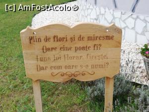 [P26] <i>Povestea Calendarului</i> » foto by ⭐ValentinB_88⭐
 - 
<span class="allrVoted glyphicon glyphicon-heart hidden" id="av1248359"></span>
<a class="m-l-10 hidden" id="sv1248359" onclick="voting_Foto_DelVot(,1248359,27026)" role="button">șterge vot <span class="glyphicon glyphicon-remove"></span></a>
<a id="v91248359" class=" c-red"  onclick="voting_Foto_SetVot(1248359)" role="button"><span class="glyphicon glyphicon-heart-empty"></span> <b>LIKE</b> = Votează poza</a> <img class="hidden"  id="f1248359W9" src="/imagini/loader.gif" border="0" /><span class="AjErrMes hidden" id="e1248359ErM"></span>