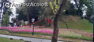 [P36] Parcul Emirgan Istanbul » foto by Yolanda
 - 
<span class="allrVoted glyphicon glyphicon-heart hidden" id="av1528837"></span>
<a class="m-l-10 hidden" id="sv1528837" onclick="voting_Foto_DelVot(,1528837,27088)" role="button">șterge vot <span class="glyphicon glyphicon-remove"></span></a>
<a id="v91528837" class=" c-red"  onclick="voting_Foto_SetVot(1528837)" role="button"><span class="glyphicon glyphicon-heart-empty"></span> <b>LIKE</b> = Votează poza</a> <img class="hidden"  id="f1528837W9" src="/imagini/loader.gif" border="0" /><span class="AjErrMes hidden" id="e1528837ErM"></span>