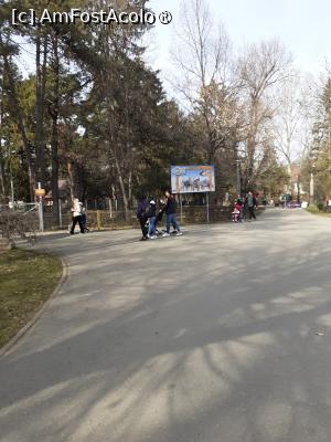 [P10] Pe aleea parcului » foto by Michi
 - 
<span class="allrVoted glyphicon glyphicon-heart hidden" id="av1423511"></span>
<a class="m-l-10 hidden" id="sv1423511" onclick="voting_Foto_DelVot(,1423511,27122)" role="button">șterge vot <span class="glyphicon glyphicon-remove"></span></a>
<a id="v91423511" class=" c-red"  onclick="voting_Foto_SetVot(1423511)" role="button"><span class="glyphicon glyphicon-heart-empty"></span> <b>LIKE</b> = Votează poza</a> <img class="hidden"  id="f1423511W9" src="/imagini/loader.gif" border="0" /><span class="AjErrMes hidden" id="e1423511ErM"></span>
