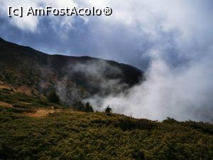 [P43] Ceața revine » foto by cata2106
 - 
<span class="allrVoted glyphicon glyphicon-heart hidden" id="av1264167"></span>
<a class="m-l-10 hidden" id="sv1264167" onclick="voting_Foto_DelVot(,1264167,27171)" role="button">șterge vot <span class="glyphicon glyphicon-remove"></span></a>
<a id="v91264167" class=" c-red"  onclick="voting_Foto_SetVot(1264167)" role="button"><span class="glyphicon glyphicon-heart-empty"></span> <b>LIKE</b> = Votează poza</a> <img class="hidden"  id="f1264167W9" src="/imagini/loader.gif" border="0" /><span class="AjErrMes hidden" id="e1264167ErM"></span>