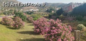 [P03] Am ieșit din <strong>Vall d'Uixó, ne îndreptăm spre peșteră.</strong> » foto by Aurici
 - 
<span class="allrVoted glyphicon glyphicon-heart hidden" id="av1265262"></span>
<a class="m-l-10 hidden" id="sv1265262" onclick="voting_Foto_DelVot(,1265262,27180)" role="button">șterge vot <span class="glyphicon glyphicon-remove"></span></a>
<a id="v91265262" class=" c-red"  onclick="voting_Foto_SetVot(1265262)" role="button"><span class="glyphicon glyphicon-heart-empty"></span> <b>LIKE</b> = Votează poza</a> <img class="hidden"  id="f1265262W9" src="/imagini/loader.gif" border="0" /><span class="AjErrMes hidden" id="e1265262ErM"></span>