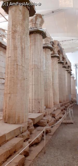 [P08] Templul lui Apollo Epikourios de la Bassae » foto by Carmen Ion
 - 
<span class="allrVoted glyphicon glyphicon-heart hidden" id="av1267649"></span>
<a class="m-l-10 hidden" id="sv1267649" onclick="voting_Foto_DelVot(,1267649,27206)" role="button">șterge vot <span class="glyphicon glyphicon-remove"></span></a>
<a id="v91267649" class=" c-red"  onclick="voting_Foto_SetVot(1267649)" role="button"><span class="glyphicon glyphicon-heart-empty"></span> <b>LIKE</b> = Votează poza</a> <img class="hidden"  id="f1267649W9" src="/imagini/loader.gif" border="0" /><span class="AjErrMes hidden" id="e1267649ErM"></span>