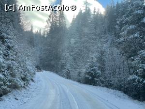 [P16]  -- <small>// FĂRĂ DESCRIERE</small> » foto by alex silva
 - 
<span class="allrVoted glyphicon glyphicon-heart hidden" id="av1268010"></span>
<a class="m-l-10 hidden" id="sv1268010" onclick="voting_Foto_DelVot(,1268010,27210)" role="button">șterge vot <span class="glyphicon glyphicon-remove"></span></a>
<a id="v91268010" class=" c-red"  onclick="voting_Foto_SetVot(1268010)" role="button"><span class="glyphicon glyphicon-heart-empty"></span> <b>LIKE</b> = Votează poza</a> <img class="hidden"  id="f1268010W9" src="/imagini/loader.gif" border="0" /><span class="AjErrMes hidden" id="e1268010ErM"></span>