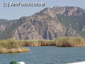 [P25] Plaja Iztuzu şi Delta Dalyan - stufăriş » foto by nicole33
 - 
<span class="allrVoted glyphicon glyphicon-heart hidden" id="av1271307"></span>
<a class="m-l-10 hidden" id="sv1271307" onclick="voting_Foto_DelVot(,1271307,27236)" role="button">șterge vot <span class="glyphicon glyphicon-remove"></span></a>
<a id="v91271307" class=" c-red"  onclick="voting_Foto_SetVot(1271307)" role="button"><span class="glyphicon glyphicon-heart-empty"></span> <b>LIKE</b> = Votează poza</a> <img class="hidden"  id="f1271307W9" src="/imagini/loader.gif" border="0" /><span class="AjErrMes hidden" id="e1271307ErM"></span>