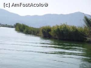 [P36] Plaja Iztuzu şi Delta Dalyan - prin deltă » foto by nicole33
 - 
<span class="allrVoted glyphicon glyphicon-heart hidden" id="av1271318"></span>
<a class="m-l-10 hidden" id="sv1271318" onclick="voting_Foto_DelVot(,1271318,27236)" role="button">șterge vot <span class="glyphicon glyphicon-remove"></span></a>
<a id="v91271318" class=" c-red"  onclick="voting_Foto_SetVot(1271318)" role="button"><span class="glyphicon glyphicon-heart-empty"></span> <b>LIKE</b> = Votează poza</a> <img class="hidden"  id="f1271318W9" src="/imagini/loader.gif" border="0" /><span class="AjErrMes hidden" id="e1271318ErM"></span>