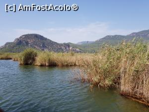 [P74] Plaja Iztuzu şi Delta Dalyan - prin deltă » foto by nicole33
 - 
<span class="allrVoted glyphicon glyphicon-heart hidden" id="av1271356"></span>
<a class="m-l-10 hidden" id="sv1271356" onclick="voting_Foto_DelVot(,1271356,27236)" role="button">șterge vot <span class="glyphicon glyphicon-remove"></span></a>
<a id="v91271356" class=" c-red"  onclick="voting_Foto_SetVot(1271356)" role="button"><span class="glyphicon glyphicon-heart-empty"></span> <b>LIKE</b> = Votează poza</a> <img class="hidden"  id="f1271356W9" src="/imagini/loader.gif" border="0" /><span class="AjErrMes hidden" id="e1271356ErM"></span>