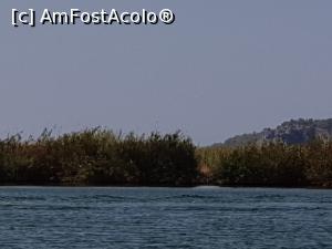 [P78] Plaja Iztuzu şi Delta Dalyan - prin deltă » foto by nicole33
 - 
<span class="allrVoted glyphicon glyphicon-heart hidden" id="av1271360"></span>
<a class="m-l-10 hidden" id="sv1271360" onclick="voting_Foto_DelVot(,1271360,27236)" role="button">șterge vot <span class="glyphicon glyphicon-remove"></span></a>
<a id="v91271360" class=" c-red"  onclick="voting_Foto_SetVot(1271360)" role="button"><span class="glyphicon glyphicon-heart-empty"></span> <b>LIKE</b> = Votează poza</a> <img class="hidden"  id="f1271360W9" src="/imagini/loader.gif" border="0" /><span class="AjErrMes hidden" id="e1271360ErM"></span>