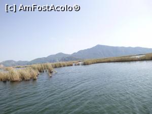 [P92] Plaja Iztuzu şi Delta Dalyan - stufăriş » foto by nicole33
 - 
<span class="allrVoted glyphicon glyphicon-heart hidden" id="av1271374"></span>
<a class="m-l-10 hidden" id="sv1271374" onclick="voting_Foto_DelVot(,1271374,27236)" role="button">șterge vot <span class="glyphicon glyphicon-remove"></span></a>
<a id="v91271374" class=" c-red"  onclick="voting_Foto_SetVot(1271374)" role="button"><span class="glyphicon glyphicon-heart-empty"></span> <b>LIKE</b> = Votează poza</a> <img class="hidden"  id="f1271374W9" src="/imagini/loader.gif" border="0" /><span class="AjErrMes hidden" id="e1271374ErM"></span>