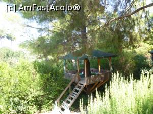 [P11] Cascada Gizlikent - la masă în copac » foto by nicole33
 - 
<span class="allrVoted glyphicon glyphicon-heart hidden" id="av1271393"></span>
<a class="m-l-10 hidden" id="sv1271393" onclick="voting_Foto_DelVot(,1271393,27238)" role="button">șterge vot <span class="glyphicon glyphicon-remove"></span></a>
<a id="v91271393" class=" c-red"  onclick="voting_Foto_SetVot(1271393)" role="button"><span class="glyphicon glyphicon-heart-empty"></span> <b>LIKE</b> = Votează poza</a> <img class="hidden"  id="f1271393W9" src="/imagini/loader.gif" border="0" /><span class="AjErrMes hidden" id="e1271393ErM"></span>