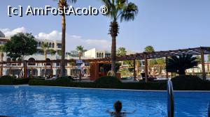 [P25] Sunrise Arabian Beach Resort - piscina de la camera » foto by elenaadina
 - 
<span class="allrVoted glyphicon glyphicon-heart hidden" id="av1402765"></span>
<a class="m-l-10 hidden" id="sv1402765" onclick="voting_Foto_DelVot(,1402765,27302)" role="button">șterge vot <span class="glyphicon glyphicon-remove"></span></a>
<a id="v91402765" class=" c-red"  onclick="voting_Foto_SetVot(1402765)" role="button"><span class="glyphicon glyphicon-heart-empty"></span> <b>LIKE</b> = Votează poza</a> <img class="hidden"  id="f1402765W9" src="/imagini/loader.gif" border="0" /><span class="AjErrMes hidden" id="e1402765ErM"></span>