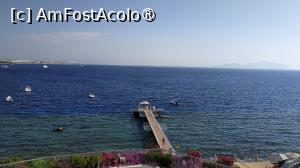 [P28] Sunrise Arabian Beach Resort -  » foto by elenaadina
 - 
<span class="allrVoted glyphicon glyphicon-heart hidden" id="av1402768"></span>
<a class="m-l-10 hidden" id="sv1402768" onclick="voting_Foto_DelVot(,1402768,27302)" role="button">șterge vot <span class="glyphicon glyphicon-remove"></span></a>
<a id="v91402768" class=" c-red"  onclick="voting_Foto_SetVot(1402768)" role="button"><span class="glyphicon glyphicon-heart-empty"></span> <b>LIKE</b> = Votează poza</a> <img class="hidden"  id="f1402768W9" src="/imagini/loader.gif" border="0" /><span class="AjErrMes hidden" id="e1402768ErM"></span>