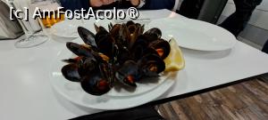 [P18] Los Diamantes, mejillones (midii) » foto by irinad
 - 
<span class="allrVoted glyphicon glyphicon-heart hidden" id="av1429455"></span>
<a class="m-l-10 hidden" id="sv1429455" onclick="voting_Foto_DelVot(,1429455,27329)" role="button">șterge vot <span class="glyphicon glyphicon-remove"></span></a>
<a id="v91429455" class=" c-red"  onclick="voting_Foto_SetVot(1429455)" role="button"><span class="glyphicon glyphicon-heart-empty"></span> <b>LIKE</b> = Votează poza</a> <img class="hidden"  id="f1429455W9" src="/imagini/loader.gif" border="0" /><span class="AjErrMes hidden" id="e1429455ErM"></span>