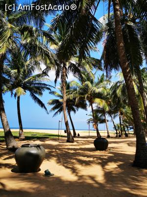 [P10] Plaja din Negombo » foto by cata2106
 - 
<span class="allrVoted glyphicon glyphicon-heart hidden" id="av1284566"></span>
<a class="m-l-10 hidden" id="sv1284566" onclick="voting_Foto_DelVot(,1284566,27382)" role="button">șterge vot <span class="glyphicon glyphicon-remove"></span></a>
<a id="v91284566" class=" c-red"  onclick="voting_Foto_SetVot(1284566)" role="button"><span class="glyphicon glyphicon-heart-empty"></span> <b>LIKE</b> = Votează poza</a> <img class="hidden"  id="f1284566W9" src="/imagini/loader.gif" border="0" /><span class="AjErrMes hidden" id="e1284566ErM"></span>